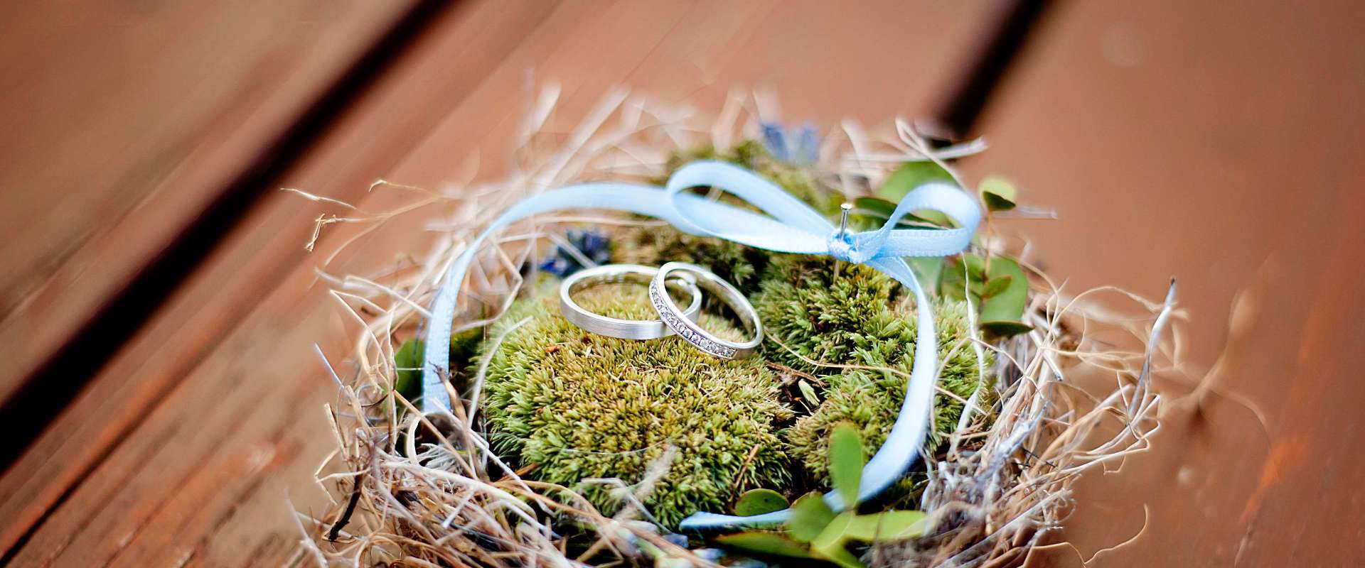 Wedding rings in decorated nest